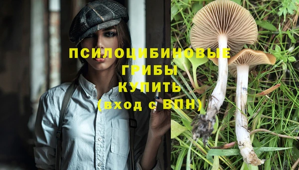 дмт Волоколамск