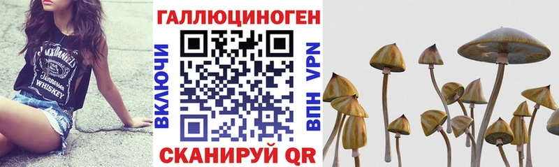 hydra вход  Сретенск  Псилоцибиновые грибы GOLDEN TEACHER 